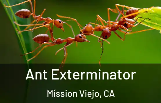 Ant Exterminator Mission Viejo, CA
