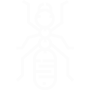 Carpenter Ants Pest Control Mission Viejo, CA