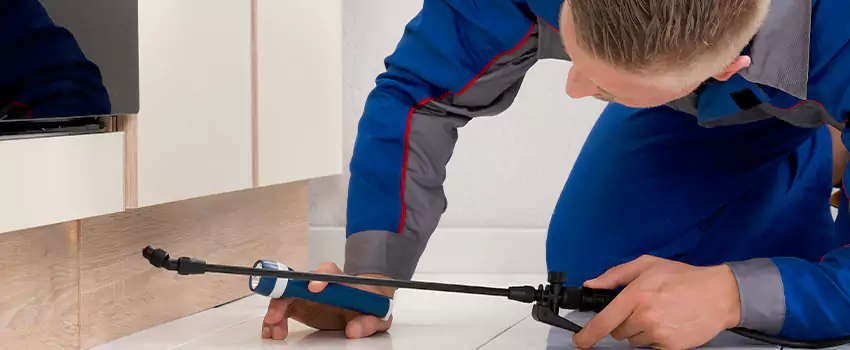 Ant Control for Bedrooms in Mission Viejo, CA