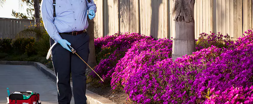 Commercial Mosquito Control Services in Mission Viejo, CA