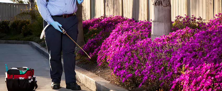 Pest Extermination for Bedrooms in Mission Viejo, CA