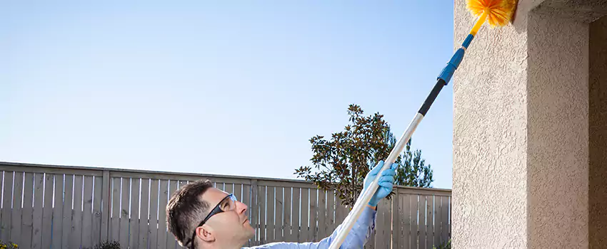 spider-exterminator in Mission Viejo, CA