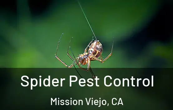  Spider Pest Control Mission Viejo, CA